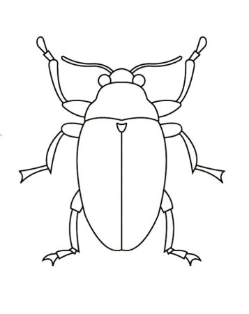 Колорадский Жук мультяшный