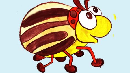 Жук бронзовка раскраска