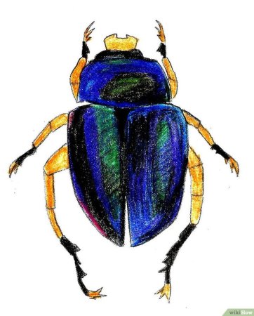 Жучки мультяшные