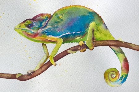 Рисунки для срисовки цветные