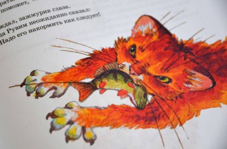 Кот ворюга Константин Паустовский книга
