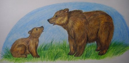 Детские рисунки медведя