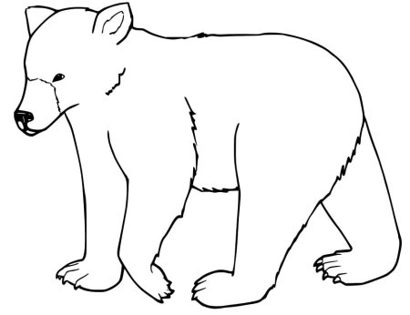Медведь раскраска для детей
