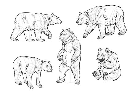 Рисунок медведя для срисовки