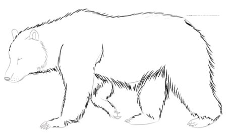 Рисунок медведя карандашом сбоку