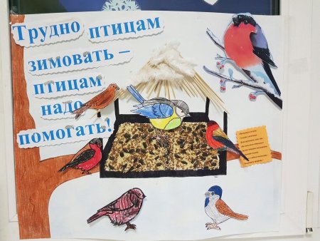 Покормите птиц зимой