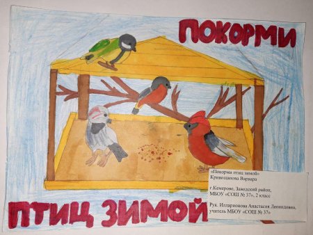 Кормление птиц зимой