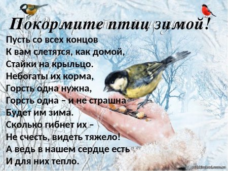 Рисование в средней группе на тему зимующие птицы