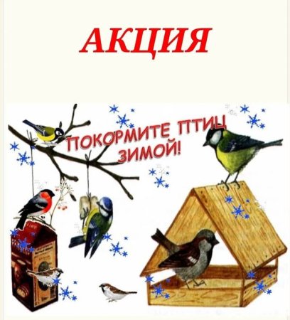 Рисование птицы на кормушке