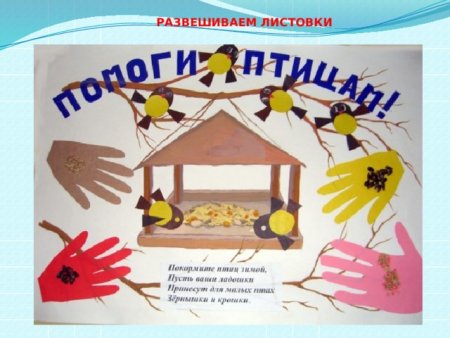 Конкурс рисунков Покормите птиц