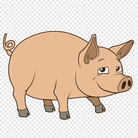 Свинья детский рисунок (53 фото)