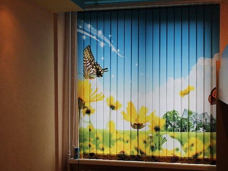 Жалюзи с фотопечатью