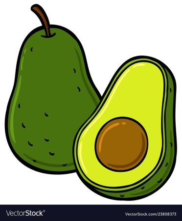 Детский рисунок авокадо (53 фото)