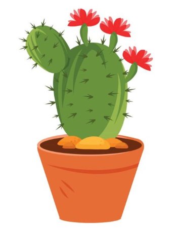 Кактус рисунок