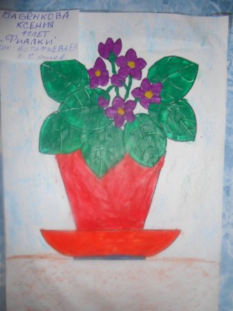Рисование комнатные растения старшая группа