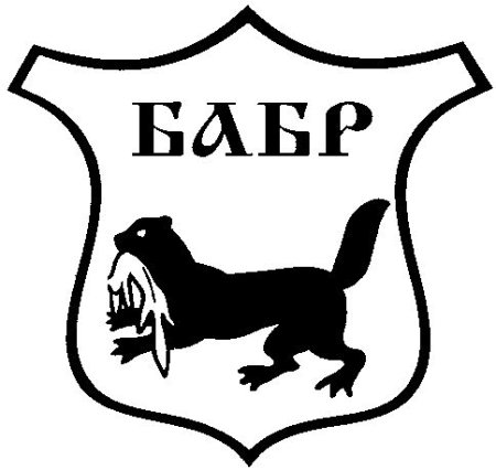 Иркутский Бабр герб