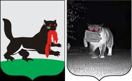 Бабр символ Иркутска арт