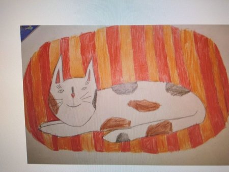 Детские рисунки кошек