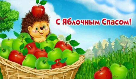 С яблочным Спасом с ежом