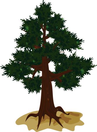 Иллюстрации деревьев для детей