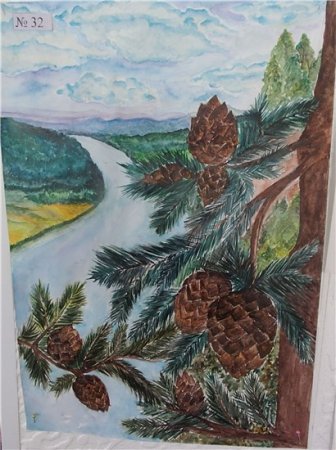 Шишков кедр