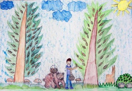 Сказочный кедр