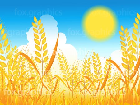 Рисование хлебное поле