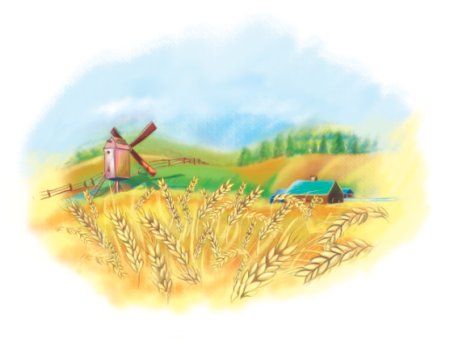 Поле пшеницы