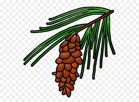 Мультяшная ветка сосны