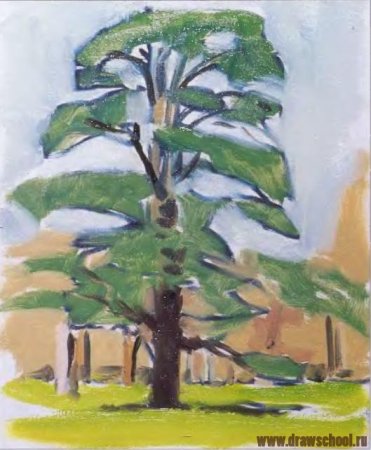 Сосна рисунок красками