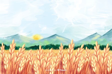 Нарисованное поле