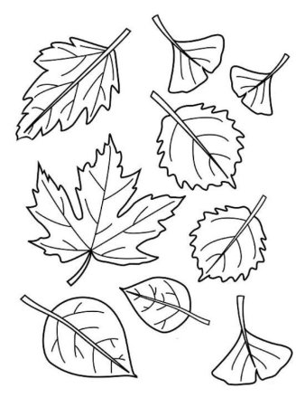 Детские рисунки листьев (51 фото)