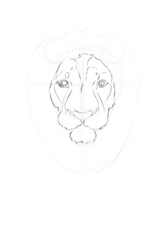 Голова льва детский рисунок (48 фото)