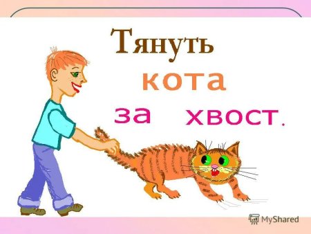 Фразеологизмы в картинках