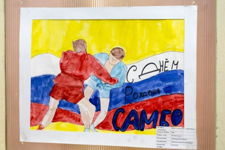 Самбист рисунок