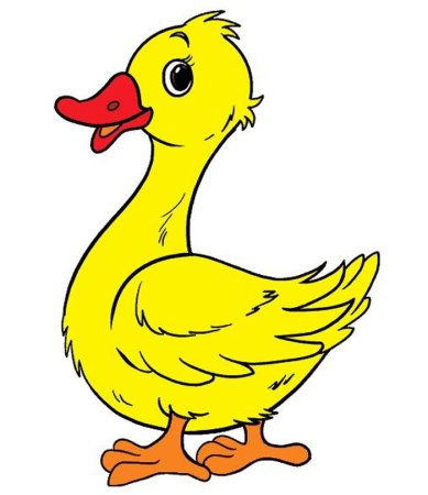 Утка рисунок