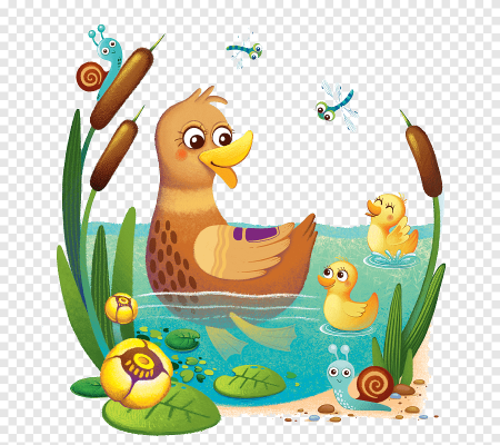 Уточка с утятами рисунок