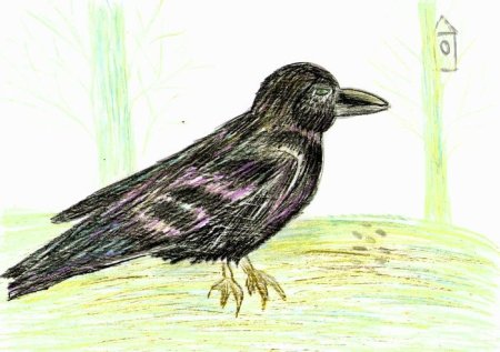 Рисунок Грача карандашом для детей