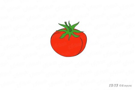 Рисование помидор