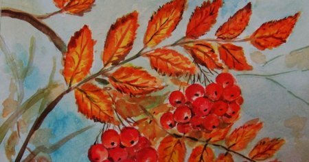 Тема: "ветка рябины".(т.с.Комарова, с.42)