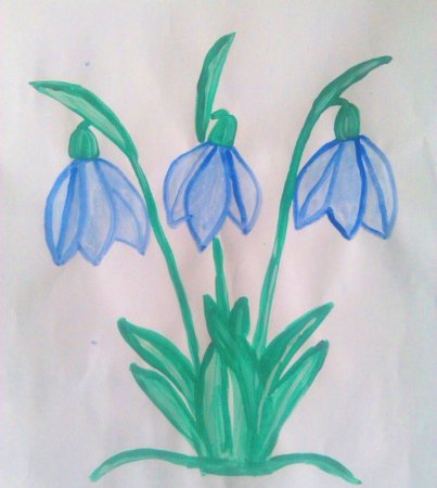 Первоцветы (подснежники, крокусы, гиацинты).
