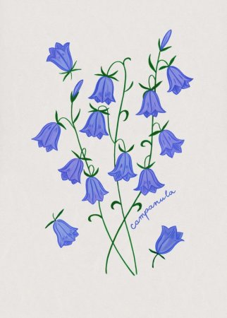 Колокольчик цветок вектор