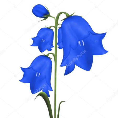 Колокольчик раскраска для детей