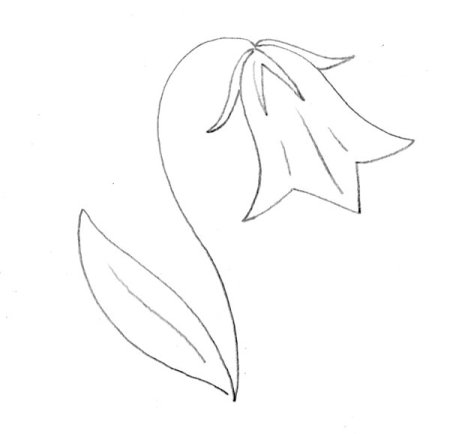 Колокольчик цветок для детей