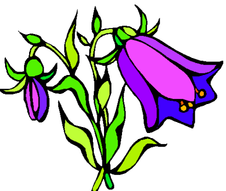 Колокольчик цветок для детей