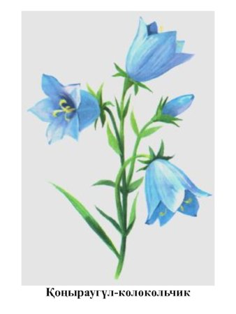 Колокольчик цветок для детей