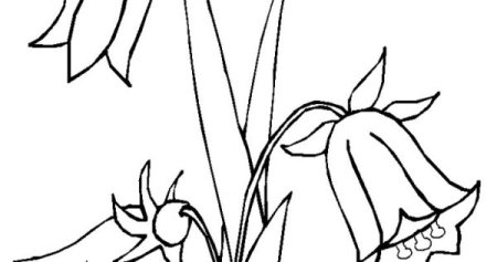 Колокольчик цветок из пластилина