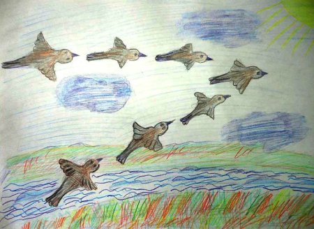 Рисование перелетные птицы