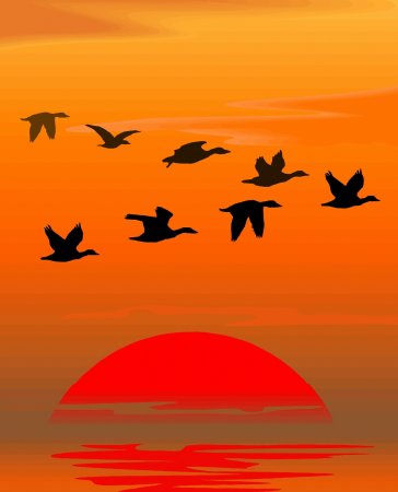 Птицы улетают на Юг