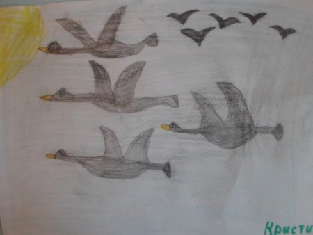 Рисование перелетные птицы
